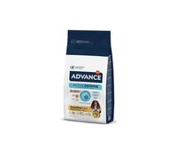 Advance Sensitive Medium/Maxi - Pienso para perro adulto mediano y grande con sensibilidades - Salmón y arroz - Cantidad: 12 kg