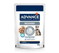 Advance Vet Recuperación para Perros y Gatos | Húmedo (Sobre) | Caja con 11 sobres de 100 g