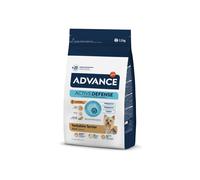 Advance Yorkshire Terrier 1.5 Kg