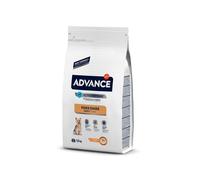 Advance Yorkshire Terrier - 1.5 Kg
