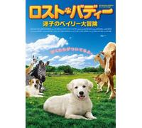 Adventures of Bailey-the Losy [DVD de Audio]
