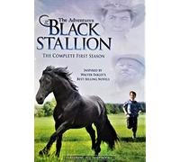 Adventures of Black Stallion: First Season [Alemania] [DVD]
