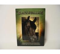 Adventures of Black Stallion: Second Season [USA] [DVD]