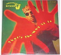 Adventures of Stevie V - That's the Way It Is [Vinilo]