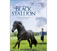 Adventures of the Black Stallion: Season One 1 [Reino Unido] [DVD]
