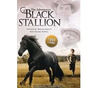 Adventures of the Black Stallion: Season One 2 [USA] [DVD]