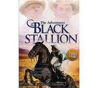 Adventures of the Black Stallion: Season Two 1 [Reino Unido] [DVD]