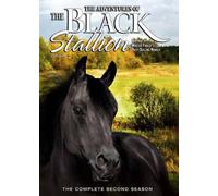 Adventures of the Black Stallion the Complete Second Season
