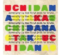 Adversity is the first path to truth.