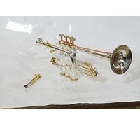 ADVIK Piccolo trompeta bañada en oro y plata BB/A pitch con estuche rígido y boquilla