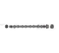 AE Árbol de Levas Entrada para Nissan Qashqai + 2 I J10 JJ10 2.0 DCI AWD X-Trail