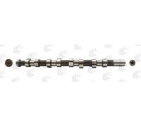 AE Árbol de Levas para Suzuki Grand Vitara I FT Gt 2.0 HDI 110 4x4 Citroën