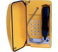 AE&T Teléfono Titan anti vandalismo 18 teclas Teléfono analógico con puerta, norma IP66, anti vandalismo y 18 teclas