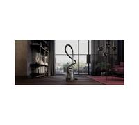 AEG - AB31C1GG 3 L Aspiradora de tambor Secar 750 W Bolsa para el polvo