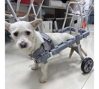 AEGCAOJH Carrito para Perros en Silla de Ruedas, tamaño pequeño, Mediano y Grande, Ligero, con Asistencia para pasear o para pasear Perros, Dispositivo de Movilidad para Mascotas de 2 Rueda