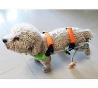 AEGCAOJH Silla de Ruedas para Mascotas para Perros Silla de Ruedas para Perros Patas traseras Marco para Caminar con Ruedas Ayuda para Las articulaciones del Mejor Amigo para Perros Soporte