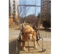 AEGCAOJH Silla de Ruedas para Perros con Soporte Completo, Silla de Ruedas para Perros Grandes, Soporte para Patas traseras para Perros, Ruedas para Caminar, Silla de Ruedas para Perros Vie