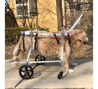 AEGCAOJH Sillas de Ruedas Ajustables para Perros pequeños, medianos y Grandes, XXXS/XXS/XS/s/m/l/XL/XXL/XXXL, Silla de Ruedas con Soporte Completo para Perros, Ayuda para la Movilidad de lo