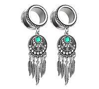 Aeici - Esparcidor de orejas, 6-30 mm, dilatador de orejas, túnel de acero inoxidable, 2 piezas, dilatador de túneles y hojas colgantes con circonita cúbica, Cubic Zirconia