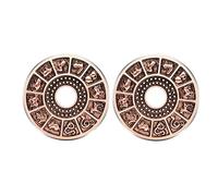 Aeici Flesh Túnel 6-22 mm, tapones para los oídos 2 piezas dilatadores de oreja de acero quirúrgico 12 caracteres chinos, Sin circonitas