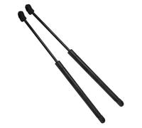 AEIOUPMMA 2 Piezas/Juego de Soporte de elevación capó Delantero, Accesorios de amortiguación para Lexus GS300 GS400 GS430 1998 1999 2000 2001 2002 2003 2004 2005(Black)