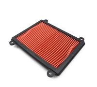AEIOUPMMA Filtro de Aire de Motor de Repuesto para Motocicleta pour Zontes ZT310V ZT310VX ZT310V1