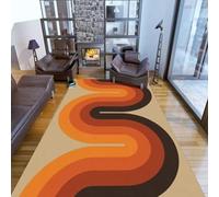 AEKDCL Alfombra de área naranja quemada para sala de estar, 40 x 60 cm, lavable a máquina, suave, resistente a las manchas, alfombra retro de pelo bajo, alfombra ligera para interiores con respaldo