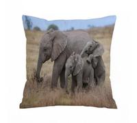AELKSP Fundas de Cojín 45x45 cm,Safari Elefante mamá y bebé Elefante en pastizales africanos,Fundas de Cojín Decorativo para Sofá,Cama, Silla,Salón,Coche.Modernas y con Cremallera Invisible