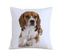 AELKSP Fundas de Cojín 45x45 cm,Silencioso Joven Mascota Beagle Caza Cachorro Animal Aislado Perro Fau,Fundas de Cojín Decorativo para Sofá,Cama, Silla,Salón,Coche.Modernas y con Cremallera Invisible