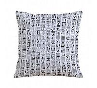 AELKSP Fundas de Cojín 50x50 cm,Escritura jeroglífica del Antiguo Egipto,Fundas de Cojín Decorativo para Sofá,Cama, Silla,Salón,Coche.Modernas y con Cremallera Invisible