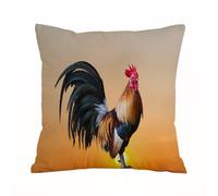 AELKSP Fundas de Cojín 50x50 cm,Hermosa gallina Cantando por la mañana.,Fundas de Cojín Decorativo para Sofá,Cama, Silla,Salón,Coche.Modernas y con Cremallera Invisible