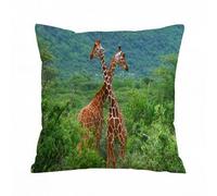 AELKSP Fundas de Cojín 50x50 cm,Lucha de Dos Jirafas. África. Kenia. Parque Nacional Samburu.,Fundas de Cojín Decorativo para Sofá,Cama, Silla,Salón,Coche.Modernas y con Cremallera Invisible