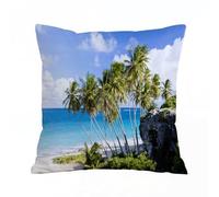 AELKSP Fundas de Cojín 50x50 cm,Paisaje Decorativo, Isla caribeña con Palmera y Destino exótico del OC,Fundas de Cojín Decorativo para Sofá,Cama, Silla,Salón,Coche.Modernas y con Cremallera Invisible