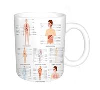 AELKSP Tazas grandes de 330 ml para café, tazas desayuno, té y bebidas calientes, tazas de cafe,Anatomía humana, diagrama completo de diferentes estructuras corporales de ór,regalo aniversario pareja