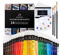 AEM Juego de pintura de acuarela: kit de suministros de arte, 24 tubos de pintura para colorear con agua, juego de pinceles, papel y paleta/bandeja para colores de agua