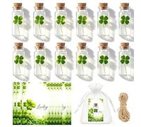 AEMCHDM Set de 12 Amuletos de la Suerte Trébol de 4 Hojas en Botella - Regalo Original con Bolsa y Tarjeta, Mini Regalo de Suerte para Exámenes, Día de la Madre, Amigos y Compañeros