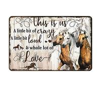 Aenaon Letrero de metal con texto en inglés "This is Us A Little Bit of Crazy - Letrero de metal vintage para bar, cocina, garaje, cueva, hogar, decoración divertida, decoración retro de caballo, 8 x