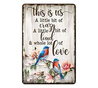 Aenaon Letrero de metal con texto en inglés "This is Us A Little Bit of Crazy - Letrero vintage para decoración de pared, hogar, bar, cafetería, garaje, cueva, 30,5 x 20,3 cm, pájaros