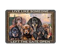 Aenaon Letrero de metal retro con texto en inglés "Live Like Someone Left The Gate Open", decoración de pared, café, bar, garaje, bar, decoración de habitación, 20 x 30 cm