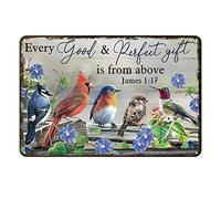 Aenaon Letrero de metal vintage con texto en inglés "Every Goof is from Above - Letrero de metal divertido para el hogar y la familia, decoración de pared, 12 x 8 pulgadas, pájaro cardenal