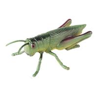 AENIMELY Saltamontes Realista de Gran Tamaño - Figura Hueca de Insecto Educativo - Juguete Infantil para Aprendizaje Stem, Estudio de Naturaleza y Decoración de Aula o Proyecto Escolar