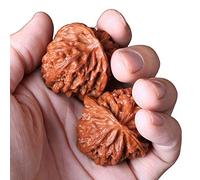 AEOIH 1 pareja salvaje nuez de balonmano entrenamiento de salud bola de salud mano tenencia tiene el efecto de relajar los músculos y la circulación sanguínea Una buena colección personal y un hermoso