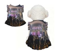 Aerial Night of View - Falda sin mangas transpirable con estampado de Hong Kong, talla XS | Cats Puppy Chihuahua Yorkie Dachshund French Bulldog - Camiseta ligera sin mangas para perro, chaleco elástico suave