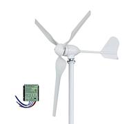 Aerogenerador, Generador de turbina eólica 2000w 48V 24V 12V Molino viento Kit generación Energía libre Altern con controlador Mppt for uso doméstico(With MPPT controller,12V)