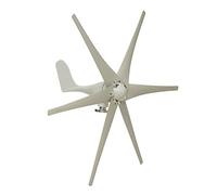 Aerogenerador, Generador de viento Horizontal 9000W, 12/24/48V, 6 aspas, generador turbinas, molino, carga energía for el hogar o Camping(24V)