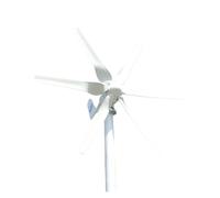 Aerogenerador nerador de turbina eólica 800w, 12v y 24v con 6 aspas for uso doméstico, turbinas eólicas arranque baja velocidad del viento(48V)