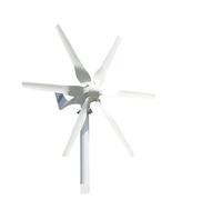 Aerogenerador Turbina neradora de viento energía libre, bricolaje, 1kW, for granja doméstica, 1000W, 12V, 24V, 48V, Kit molino Horizontal(24V)