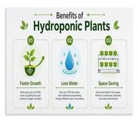 Aeroponic Growing Poster for Modern Home Decor Accent （1）