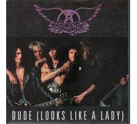 Aerosmith - Aerosmith: Dude (Looks Like A Lady) 7"
