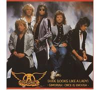 Aerosmith - Dude Looks Like A Lady